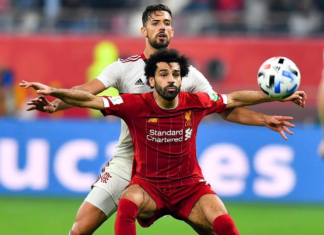 致敬，都柏林动物园将一只极度濒危的鹦鹉取名特洛伊-帕罗特