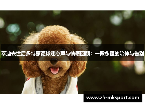 泰迪去世后多特蒙德球迷心声与情感回顾：一段永恒的陪伴与告别