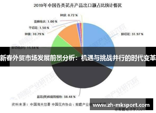 新春外贸市场发展前景分析：机遇与挑战并行的时代变革