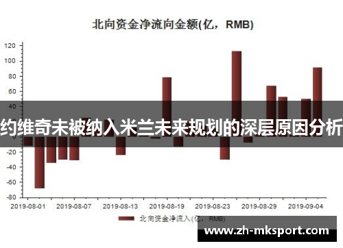 约维奇未被纳入米兰未来规划的深层原因分析