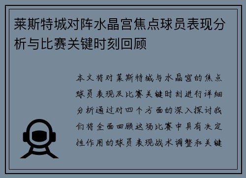 莱斯特城对阵水晶宫焦点球员表现分析与比赛关键时刻回顾