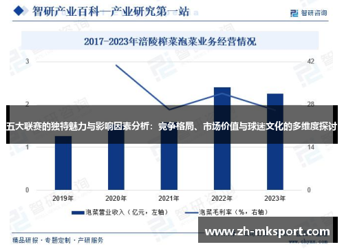 五大联赛的独特魅力与影响因素分析：竞争格局、市场价值与球迷文化的多维度探讨